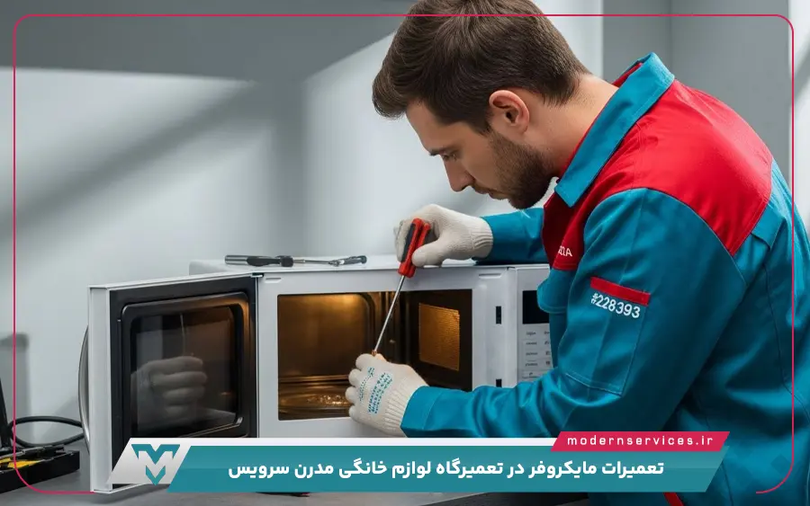 صدای غیرعادی یا وزوز بلند از مایکروفر